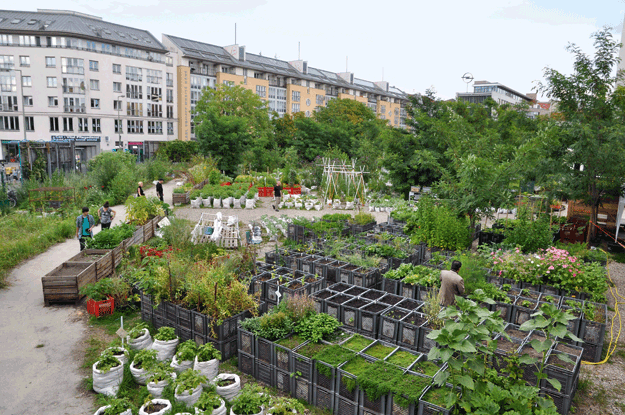 Urban Gardening in Berlin Kreuzberg